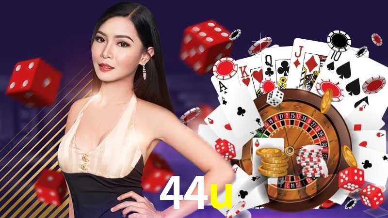 Interface Premium 44u